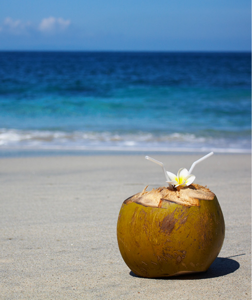 scentys_parfum_bali-colada