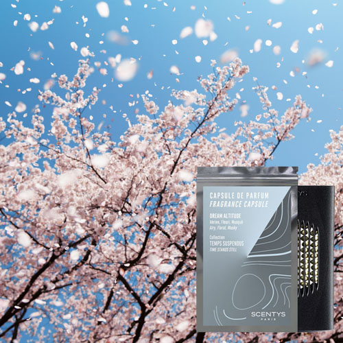Capsule de parfum