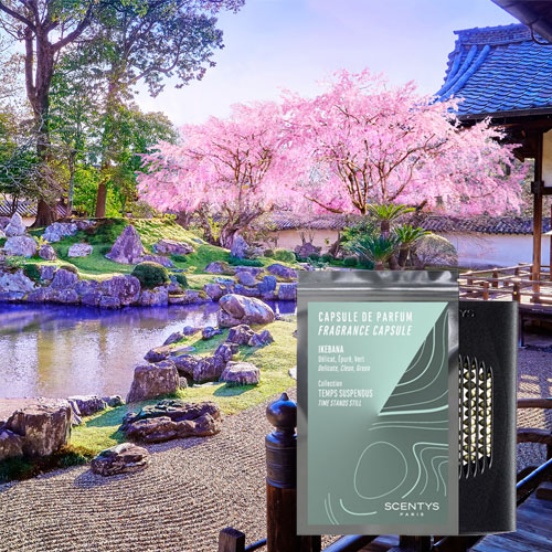 Capsule de parfum Ikebana
