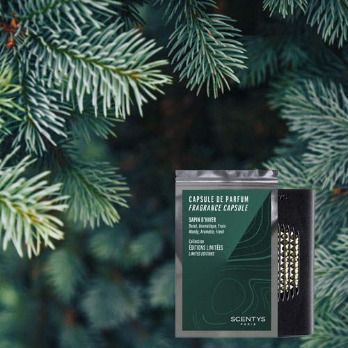 Capsule de parfum Sapin d'hiver