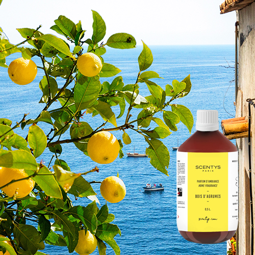 Flacon de parfum d'intérieur