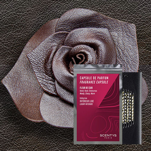 Capsule de parfum d'intérieur Fleur de cuir