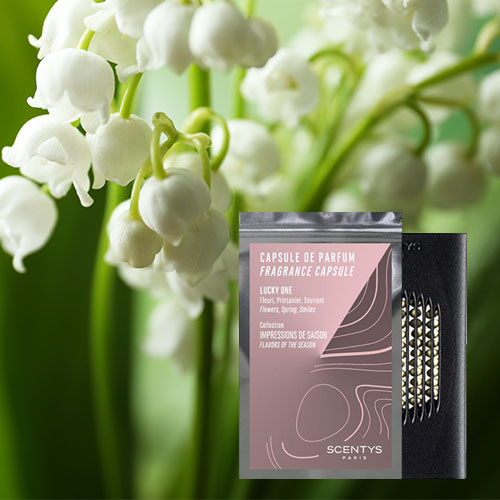 Capsule de parfum d'intérieur Lucky One