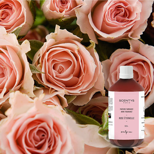 Flacon parfum Rose éternelle