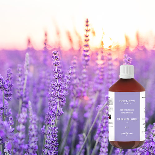 Sur un air de lavande flacon de parfum intérieur
