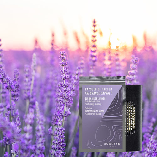 Capsule de parfum