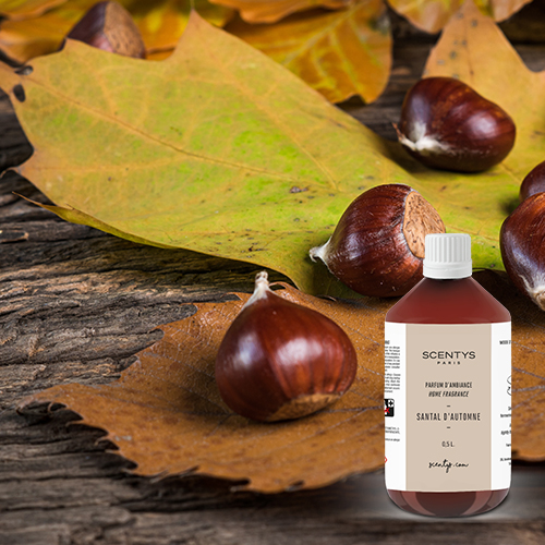 Visuel santal d'automne