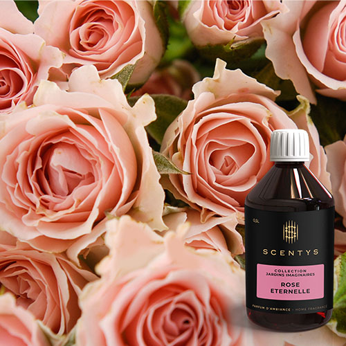 Flacon de parfum d'ambiance Rose Eternelle