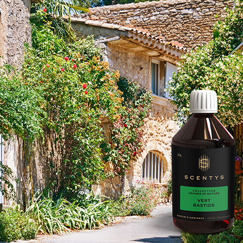 Flacon de parfum d'ambiance Vert Bastide